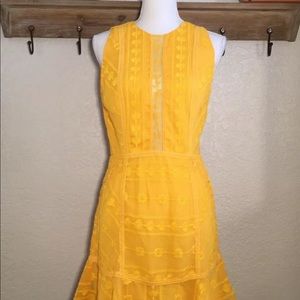 NWT 💖 TJD The Jetset Diaries Alynna Yellow Dress